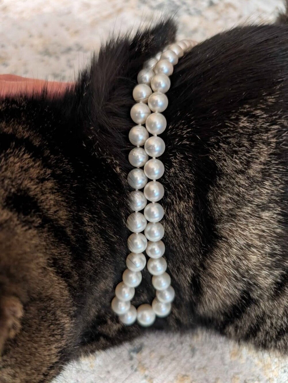 White south sea pearl necklace 9-11.6mm
